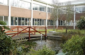 Office Rental